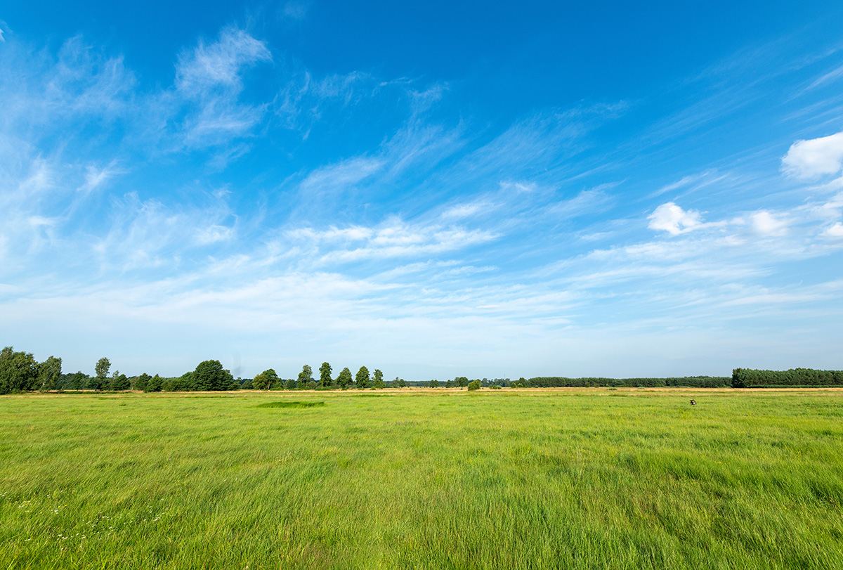 Open green land under a blue sky, ready for new home construction